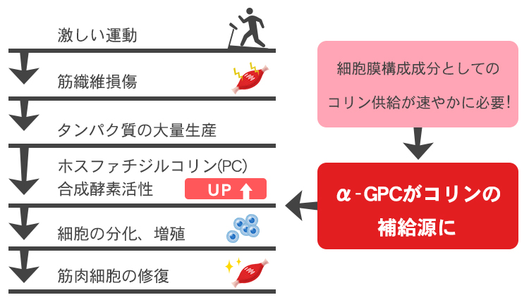 ミラグロAG