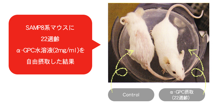 ミラグロAG